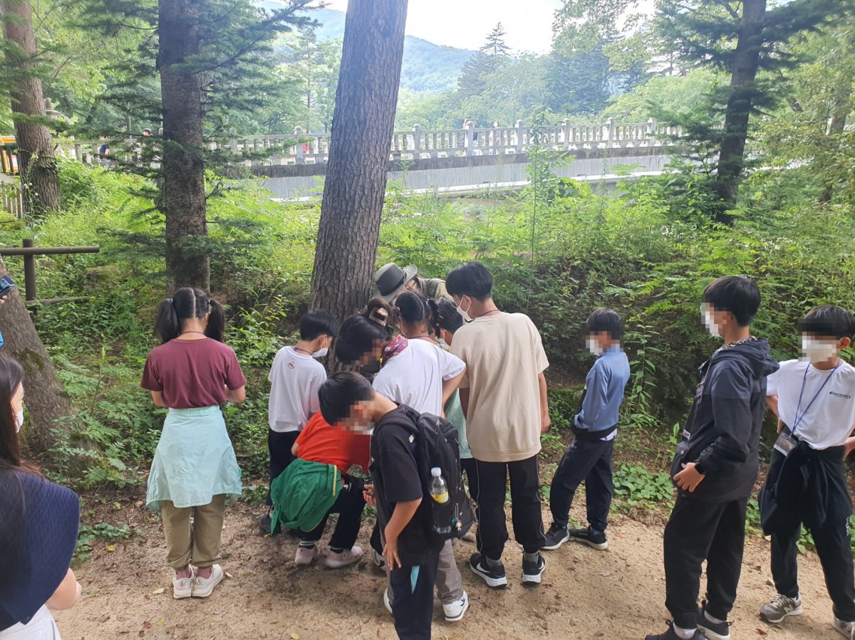 오대산 국립공원 탐방에 참여하였습니다~!