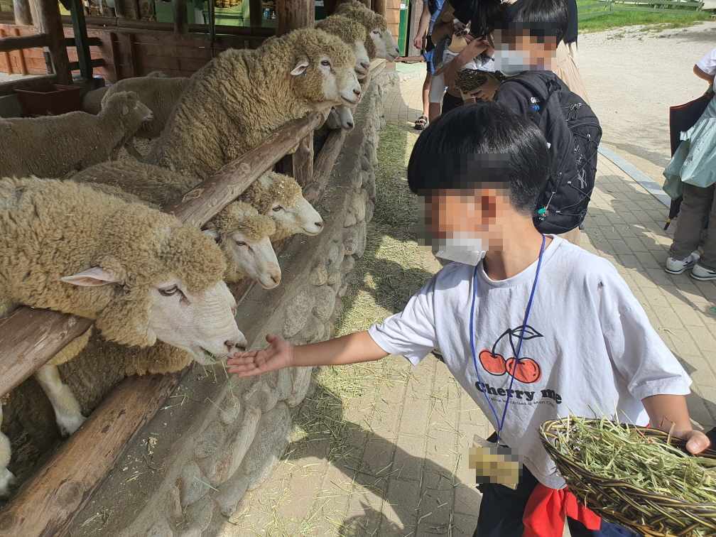 오대산 국립공원 탐방에 참여하였습니다~!